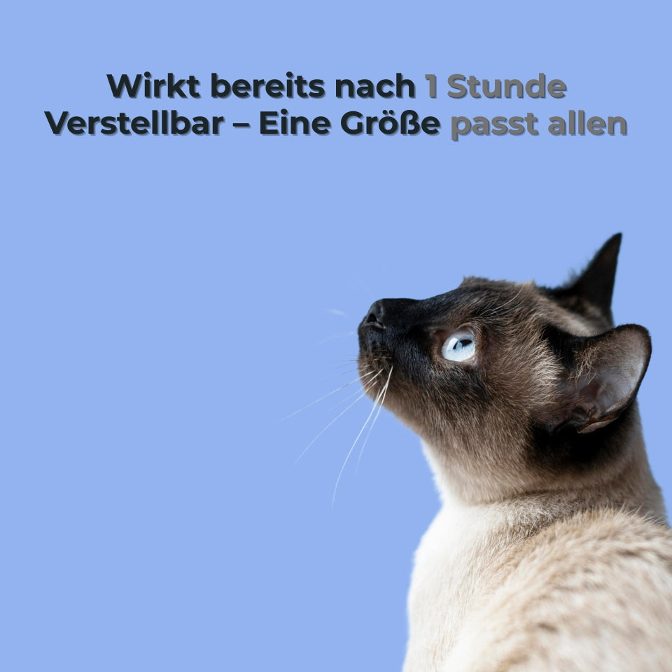 CleverCalm™ - Beruhigendes Halsband